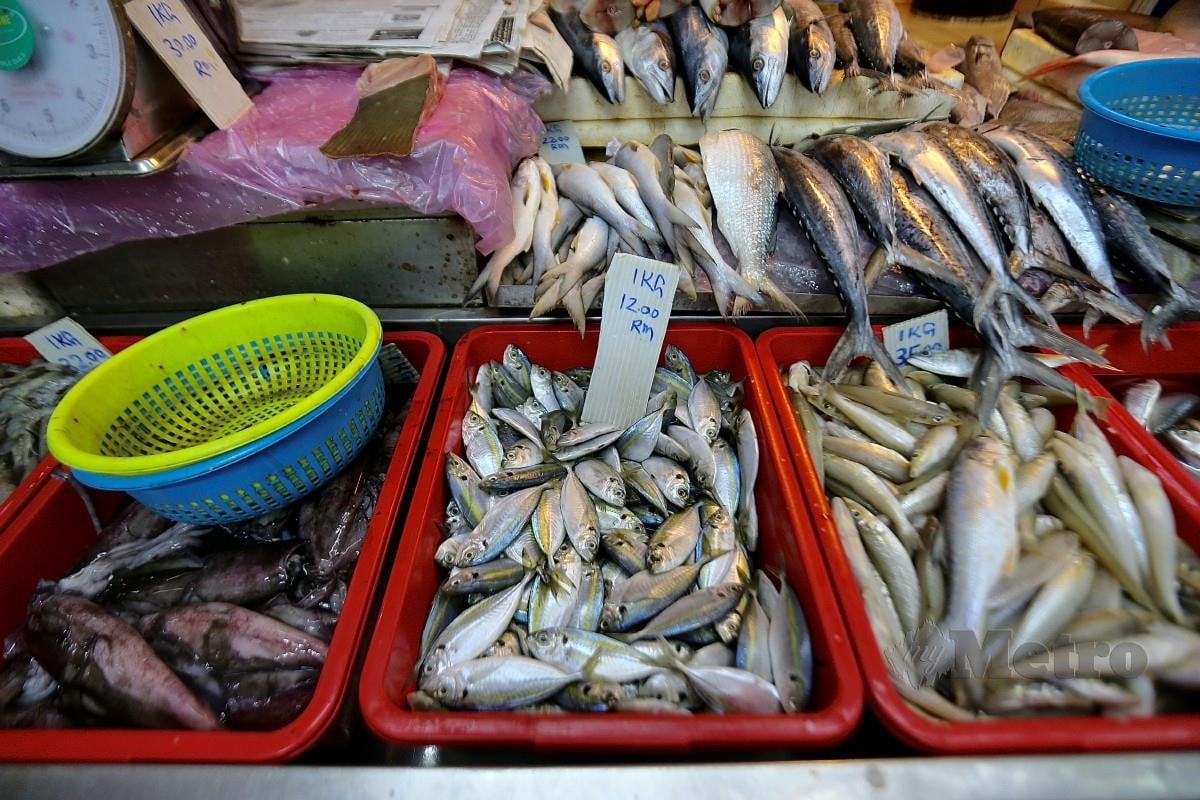 ANTARA ikan yang dijual di Pasar Kajang. FOTO Azhar Ramli