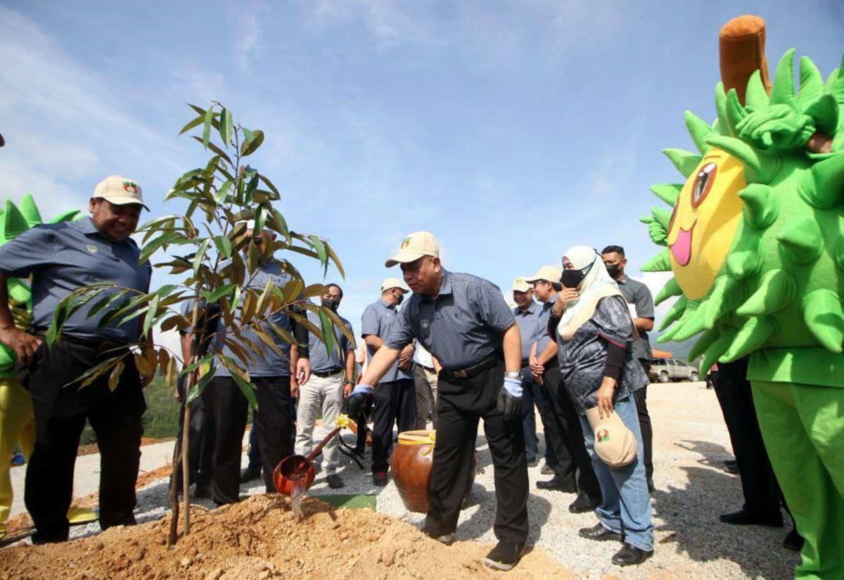 SAARANI (kanan) menyiram pokok durian sempena majlis Perasmian Penanaman Pertama Projek Penanaman Durian Perak SADC. FOTO ihsan Perak SADC.