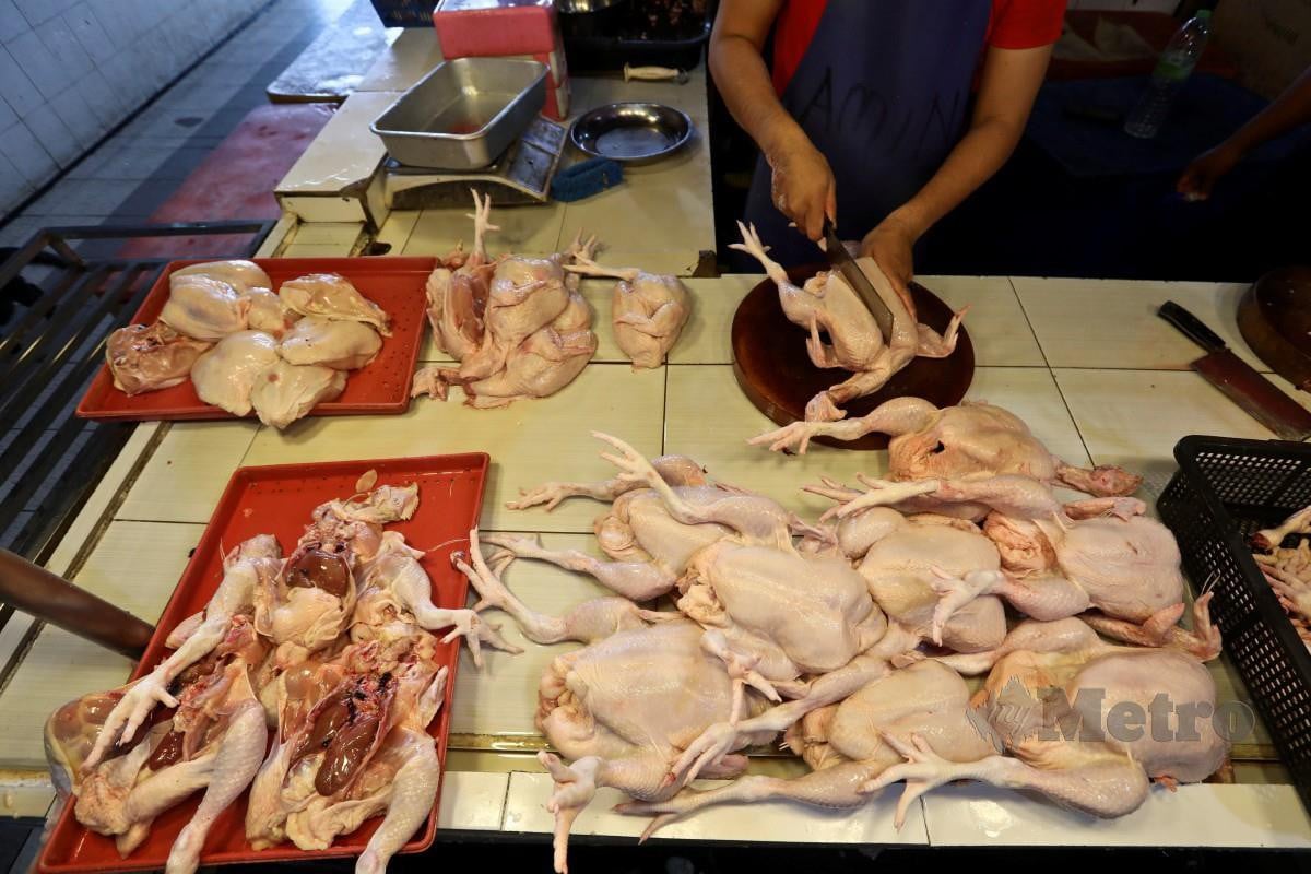 GAMBAR hiasan. Ayam dijual di Pasar Chabang Tiga, Kuala Terengganu, semalam. FOTO Ghazali Kori