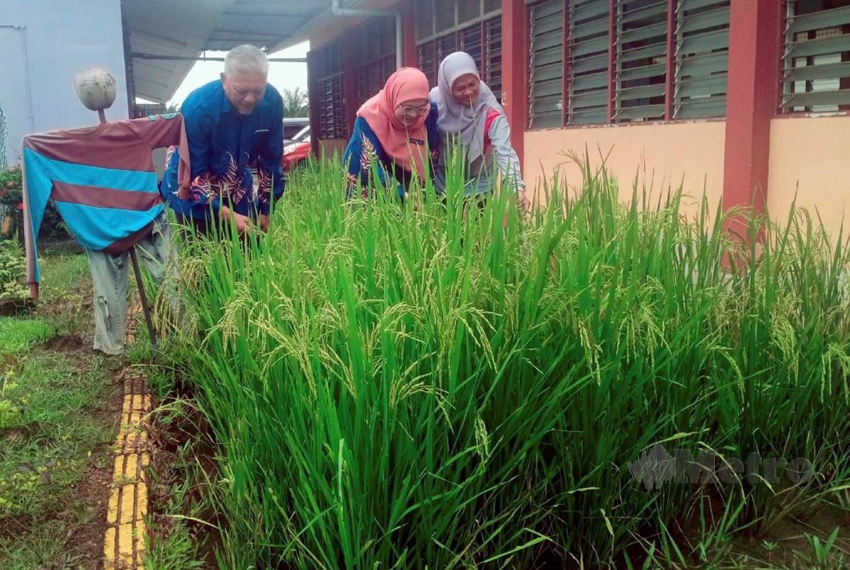 NOOR Asharudin (kiri) menunjukkan sawah padi yang diusahakan di kawasan sekolah. FOTO Mohd Khidir Zakaria