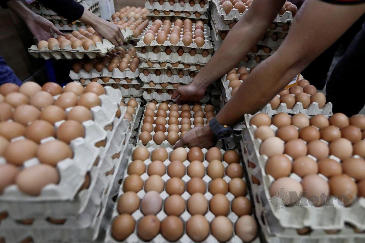 BEKALAN telur ayam di pasar raya di Kuala Berang, kelmarin. FOTO Ghazali Kori