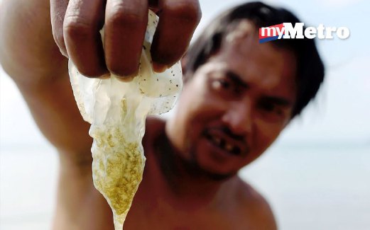 RUDY  menunjukkan obor-obor atau balung yang ada di sekitar perairan Tanjung Aru.