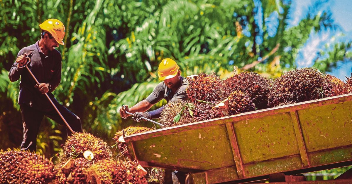 Industri minyak sawit dijangka catat pertumbuhan tahun ini