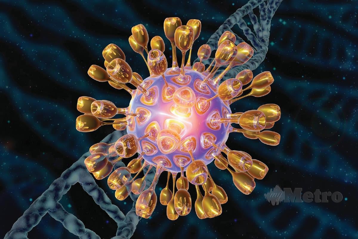 VIRUS herpes simplex 1, diubah suai menghasilkan virus onkolitik. 