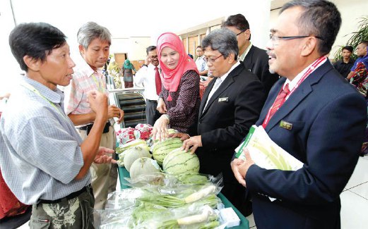 SURAYA diberi taklimat mengenai sayur organik oleh pengusaha sayur organik, Lui Teik Hock ketika melawat gerai pameran.