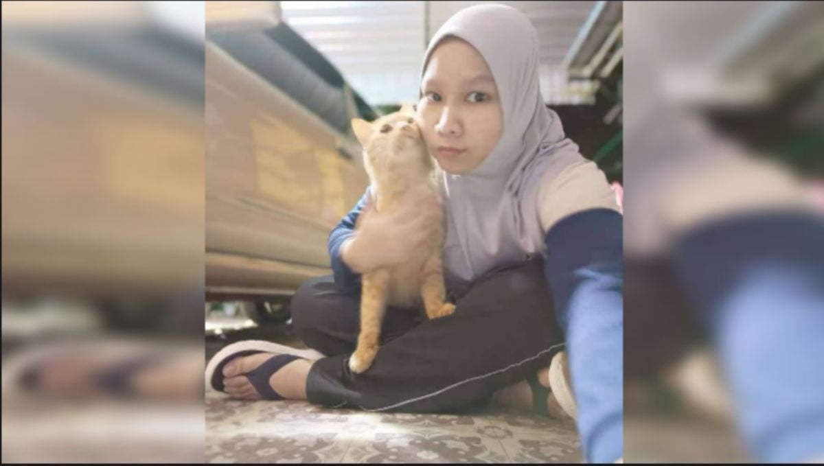 NOR Hafiqah dan kucing kesayangannya, Oyen yang dipelihara sejak enam tahun lalu. FOTO Ihsan pembaca.