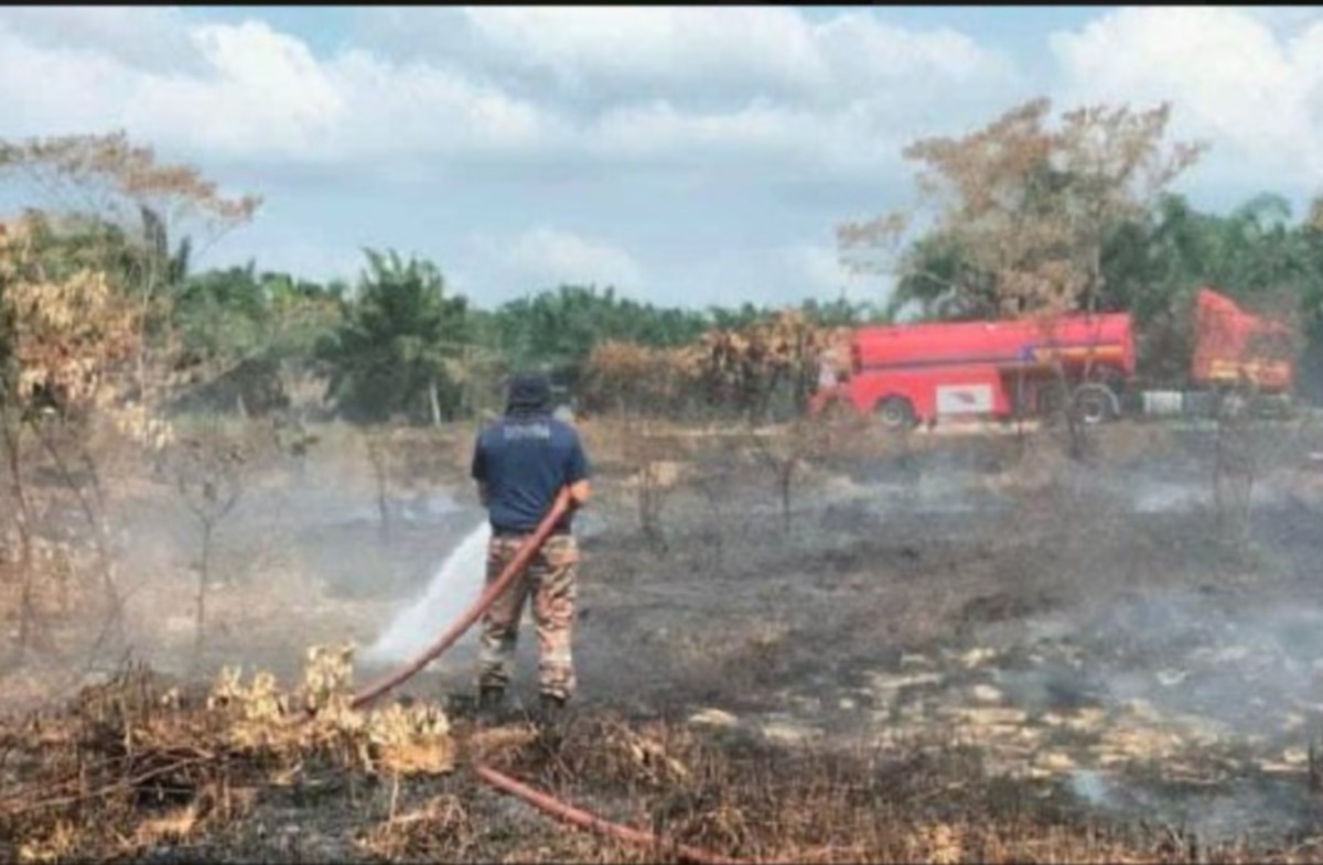 ANGGOTA bomba berusaha memadam kebakaran di kebun sawit dekat Kampung Padang Sari, Parit Sulong. FOTO Ihsan Bomba