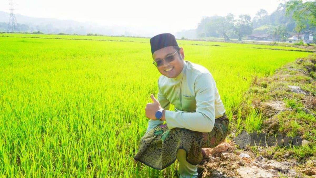 Mohd Faizal menunjukkan kawasan sawah di Terachi Kuala Pilah yang ditanam beras jenama Seri Menanti. Foto Mohd Amin Jalil