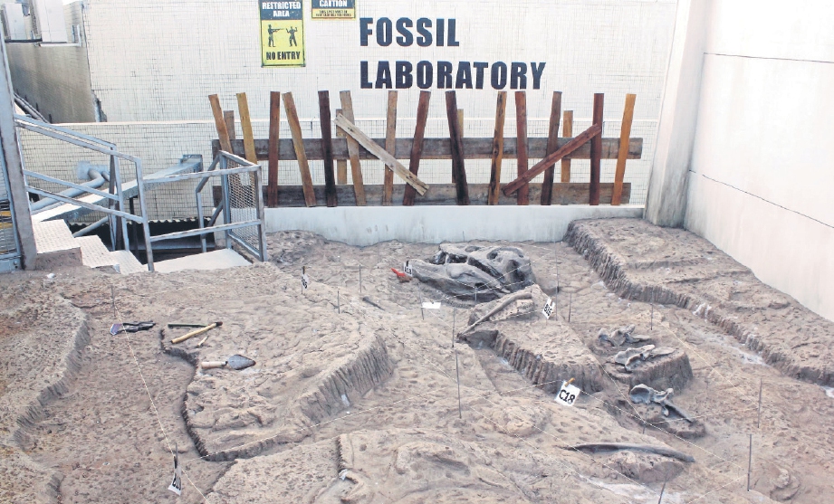 SATU daripada empat set tapak ekskavasi tulang dan rangka dinosaur dilengkapi peralatan cari gali di Pusat Penyelidikan Jurassic.