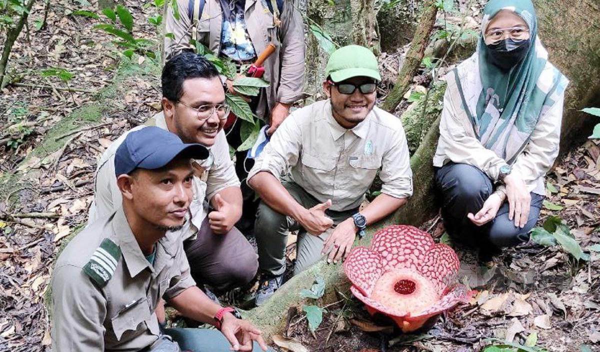 SHAHRIL Mohamad (dua, kanan) ketika melihat Rafflesia di TER Lata Jarum. FOTO Mohd Rafi Mamat