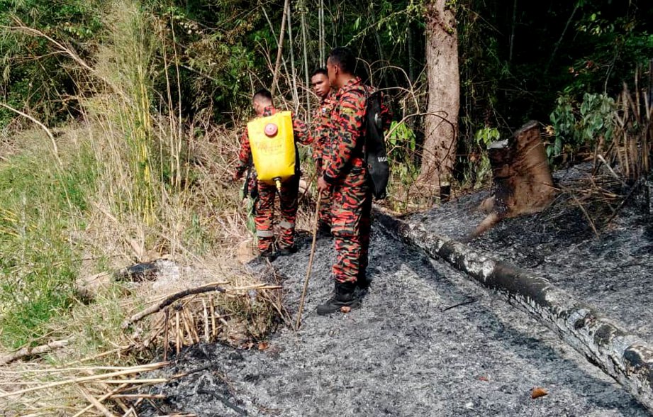 ANGGOTA bomba melakukan kerja pemadaman kebakaran hutan dengan menggunakan pemerap api dan jet shooter di Bukit Bendera. FOTO Ihsan bomba
