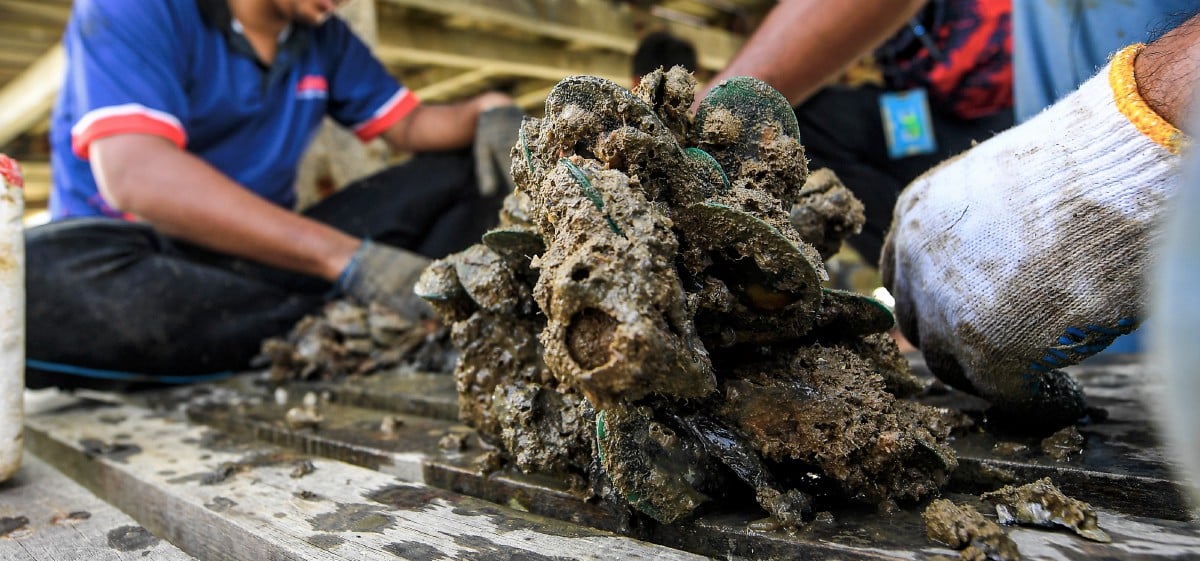 GAMBAR hiasan. FOTO Bernama