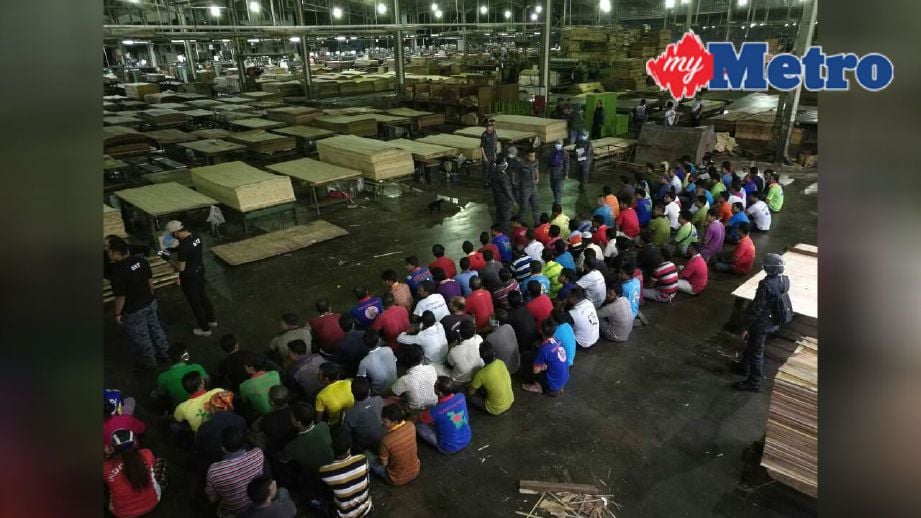 Sebahagian 715 pendatang asing yang diperiksa dalam operasi imigresen di sebuah kilang papan di kawasan perindustrian Bukit Selambau. FOTO Shahrizal Md Noor