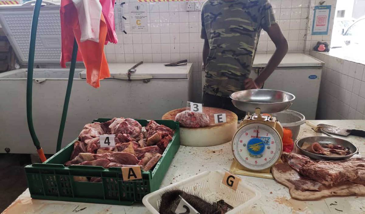 DAGING biawak air dan babi hutan yang dikesan dijual secara haram di Pasar Awam Seremban, Negeri Sembilan. FOTO Ihsan PERHILITAN