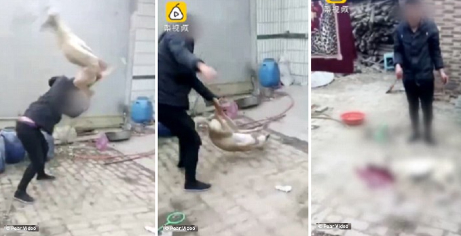 Petikan rakaman video lelaki di China menghempas anjingnya hingga mati.
