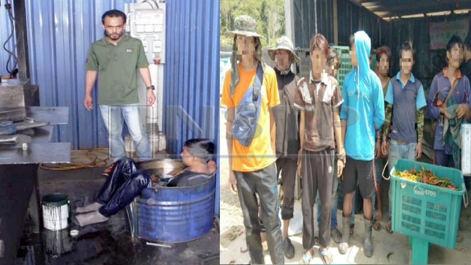 ‘Orang minyak’ Bangladesh yang ditahan (gambar kiri) dan sebahagian PATI yang bekerja di ladang cili (gambar kanan). FOTO Ihsan Imigresen Kedah.