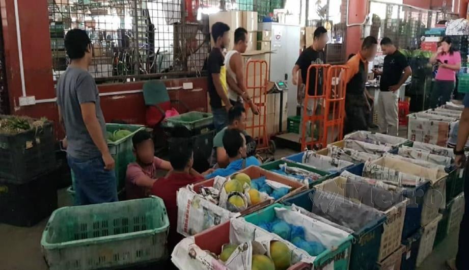 Jabatan Imigresen Kuala Lumpur menyerbu Pasar Borong Kuala Lumpur dan menahan 32 warga asing yang didapati tidak mempunyai dokumen perjalanan sah. FOTO ihsan JIM/