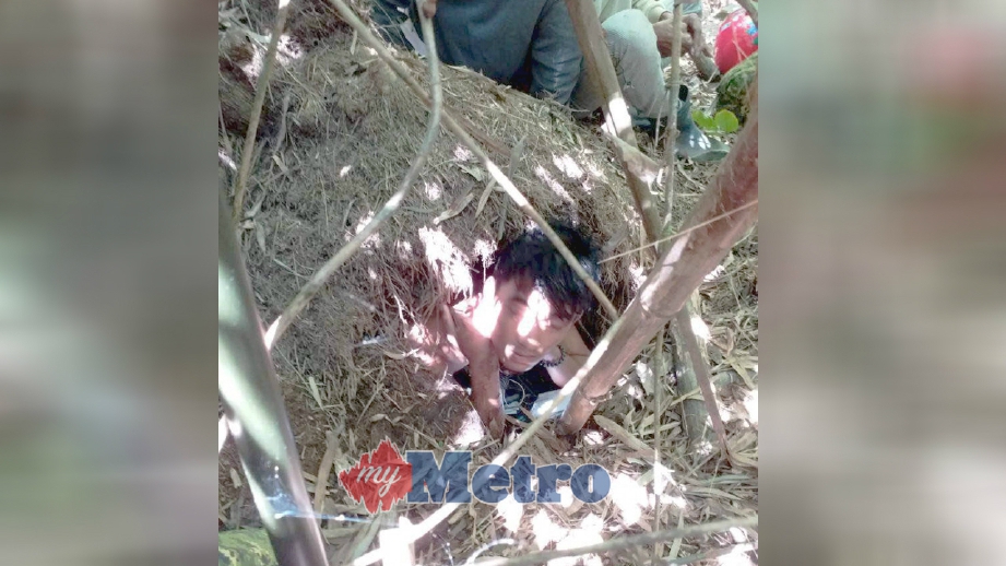BEBERAPA Pati ditemui bersembunyi di dalam lubang tanah di celah pokok buluh dipercayai sarang ular  bagi mengelak ditahan JIM Kedah dalam operasi di tapak pembinaan sekitar Alor Setar, hari ini. FOTO ihsan JIM