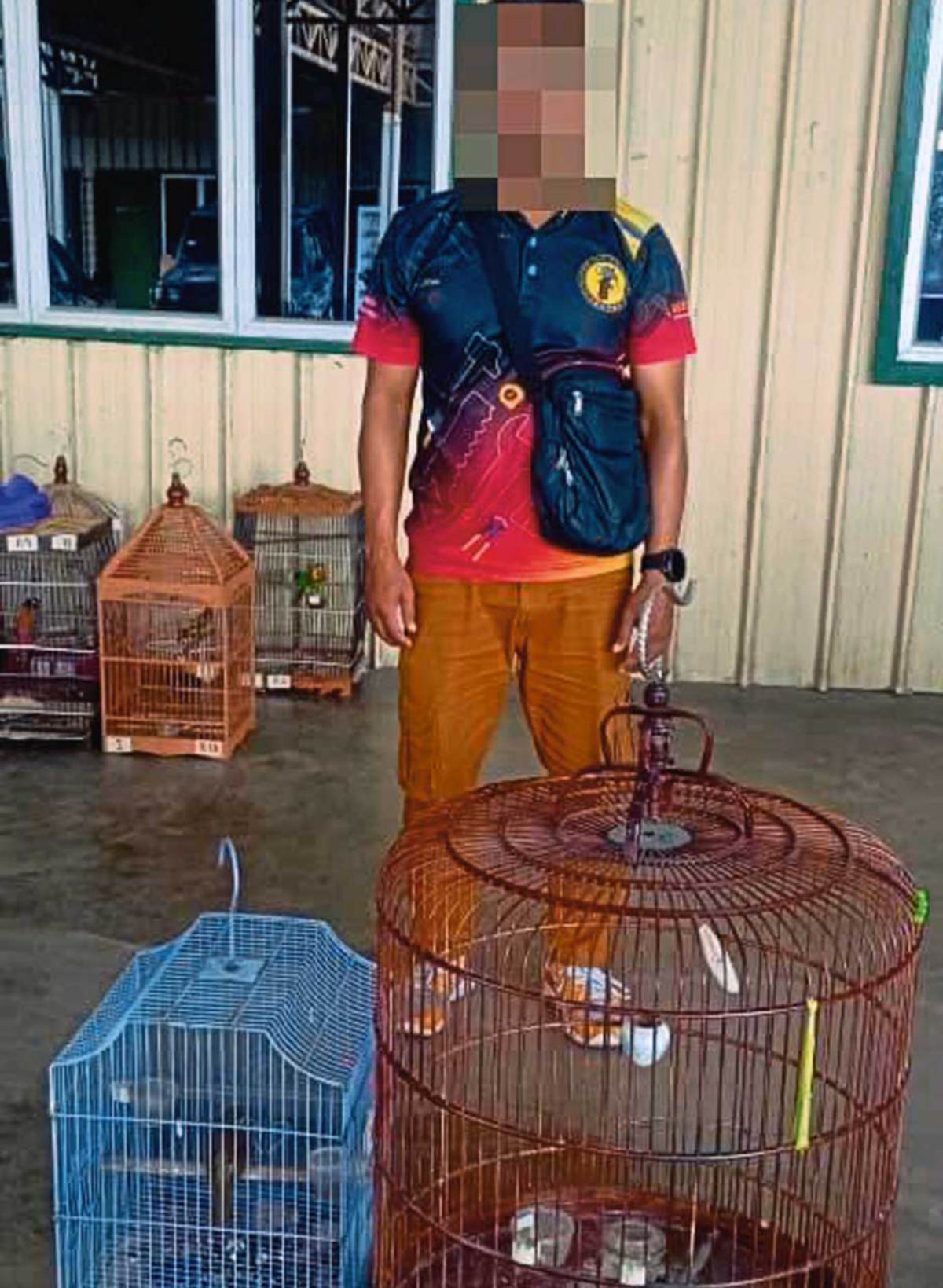 KAJIAN Traffic mendapati perdagangan haram dijalankan sindiket mampu mengakibatkan penangkapan dan penyeludupan tidak terkawal kepada populasi burung di Malaysia.