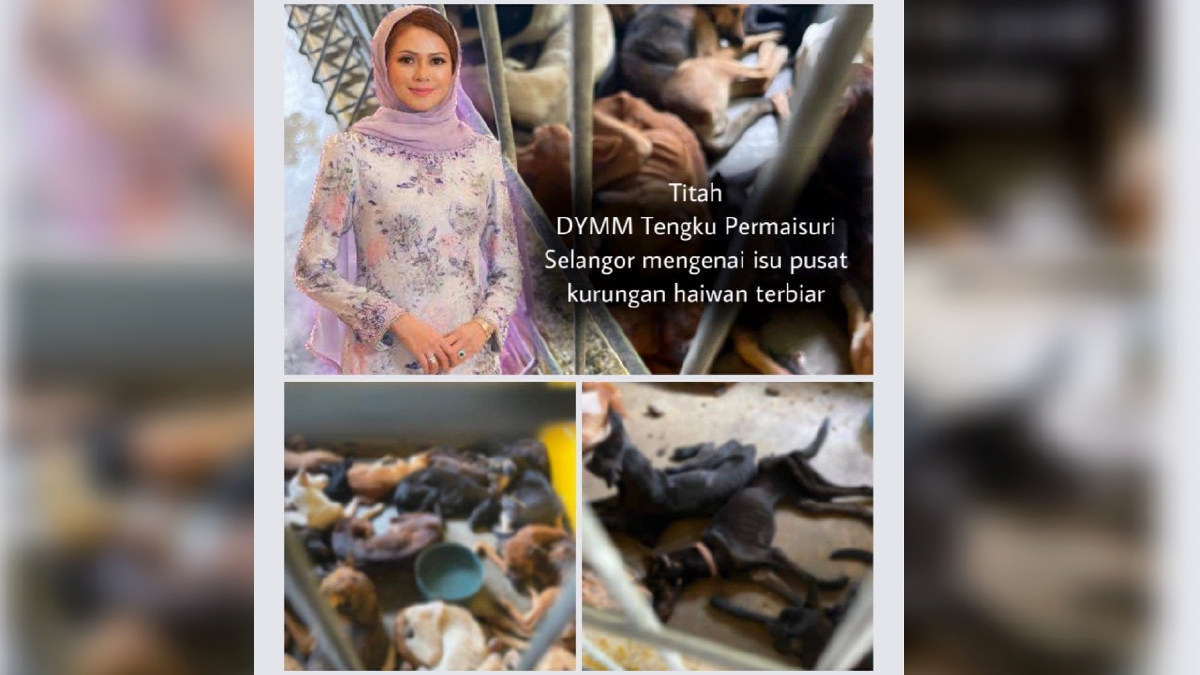 TENGKU Permaisuri Norashikin menggesa PBT  khususnya di Selangor agar memperbaiki dan menaiktaraf tatacara pengurusan di pusat kurungan anjing dan kucing. FOTO Ihsan Selangor Royal Office.