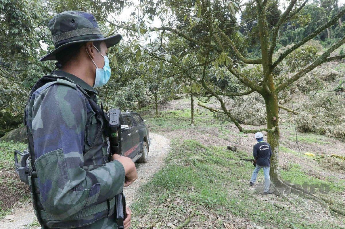 Anggota PGA mengawal kawasan ceroboh Hutan Simpan Batu Talam pada Operasi Pamah. FOTO MOHD RAFI MAMAT
