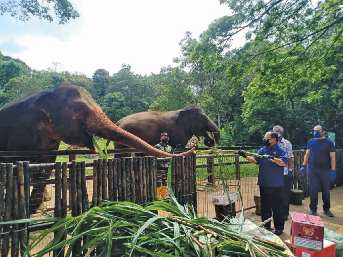 ZOO Melaka sebagai pusat konservasi dan hub pendidikan haiwan.
