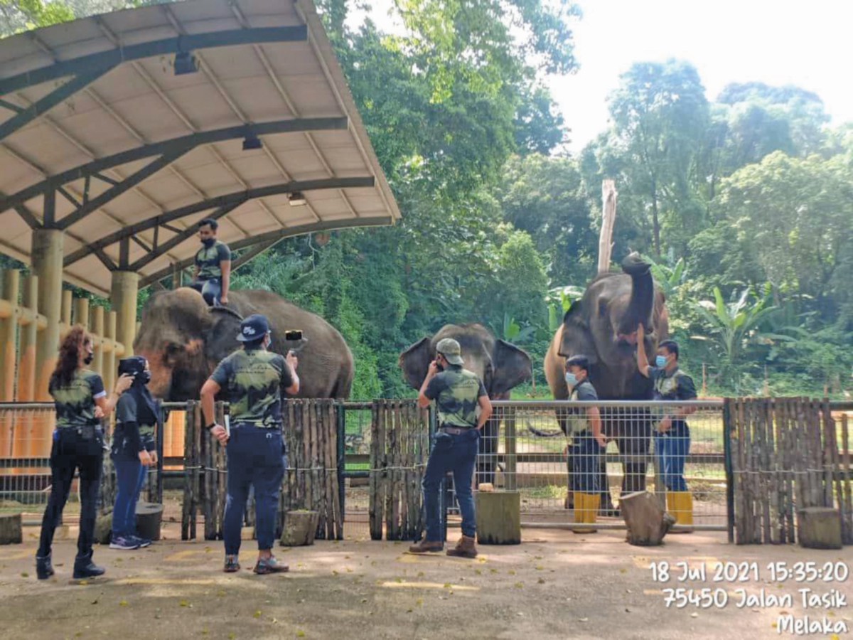 RAKAMAN video dilakukan oleh pihak Zoo Melaka dalam mengekalkan interaksi komuniti bersama haiwan.