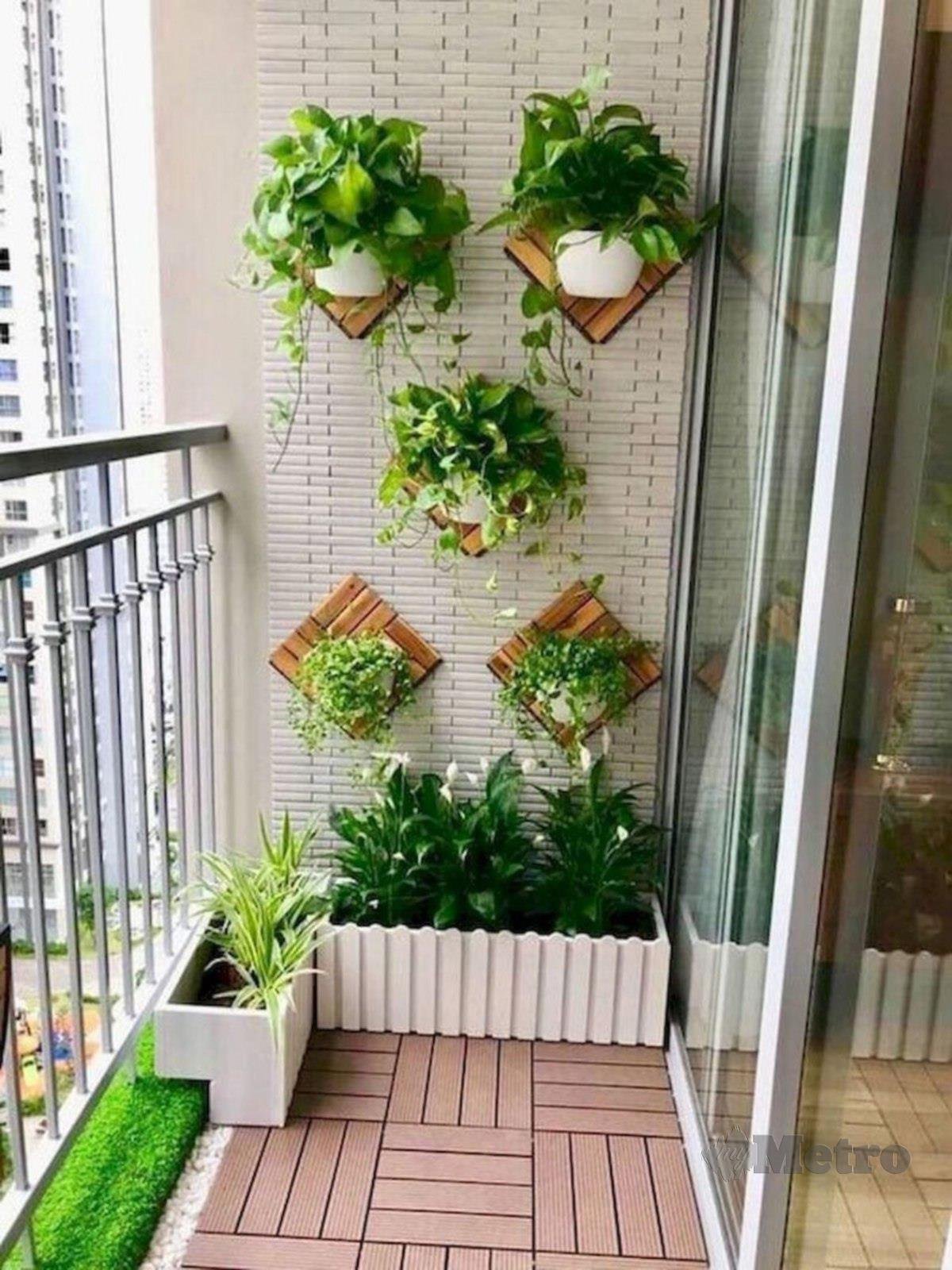 TANAMAN yang mudah dijaga seperti ulam-ulaman, sayur-sayuran dan pokok herba juga sesuai ditanam di ruang balkoni rumah bertingkat. 