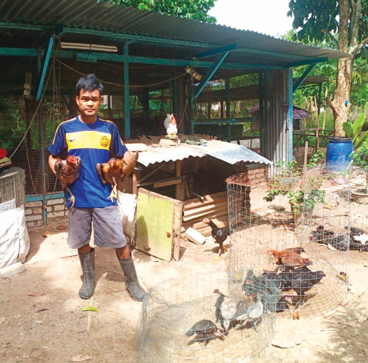 SUHAFIS bersama ayam baka phakoi yang dibelanya sejak tiga tahun lalu.