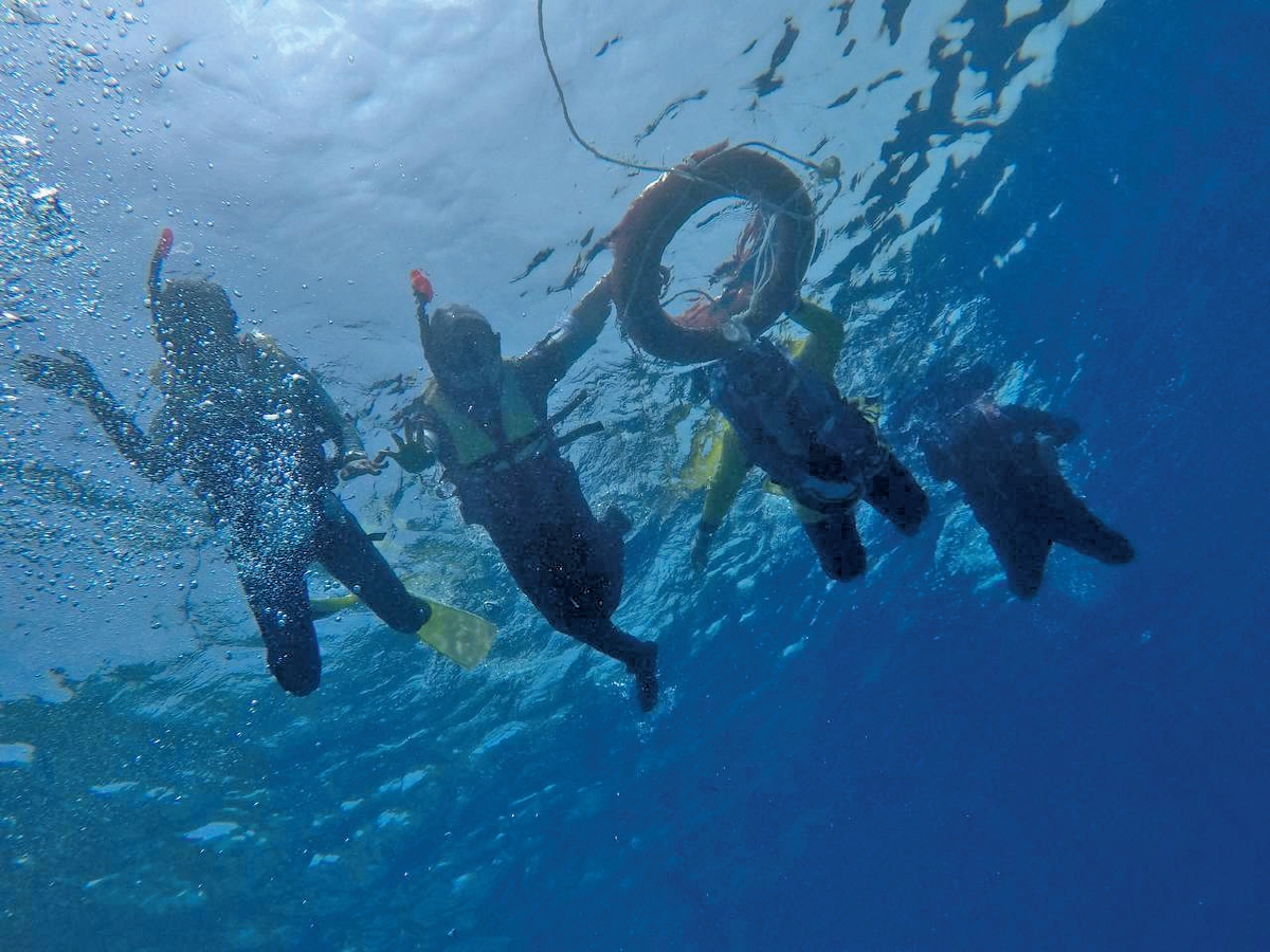 AKTIVITI menyelam antara yang wajib dilakukan ketika mengunjungi pulau di Sabah.