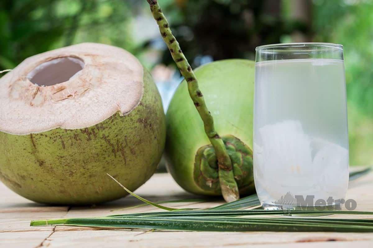 MINUM air kelapa disarankan untuk bantu nutrisi.