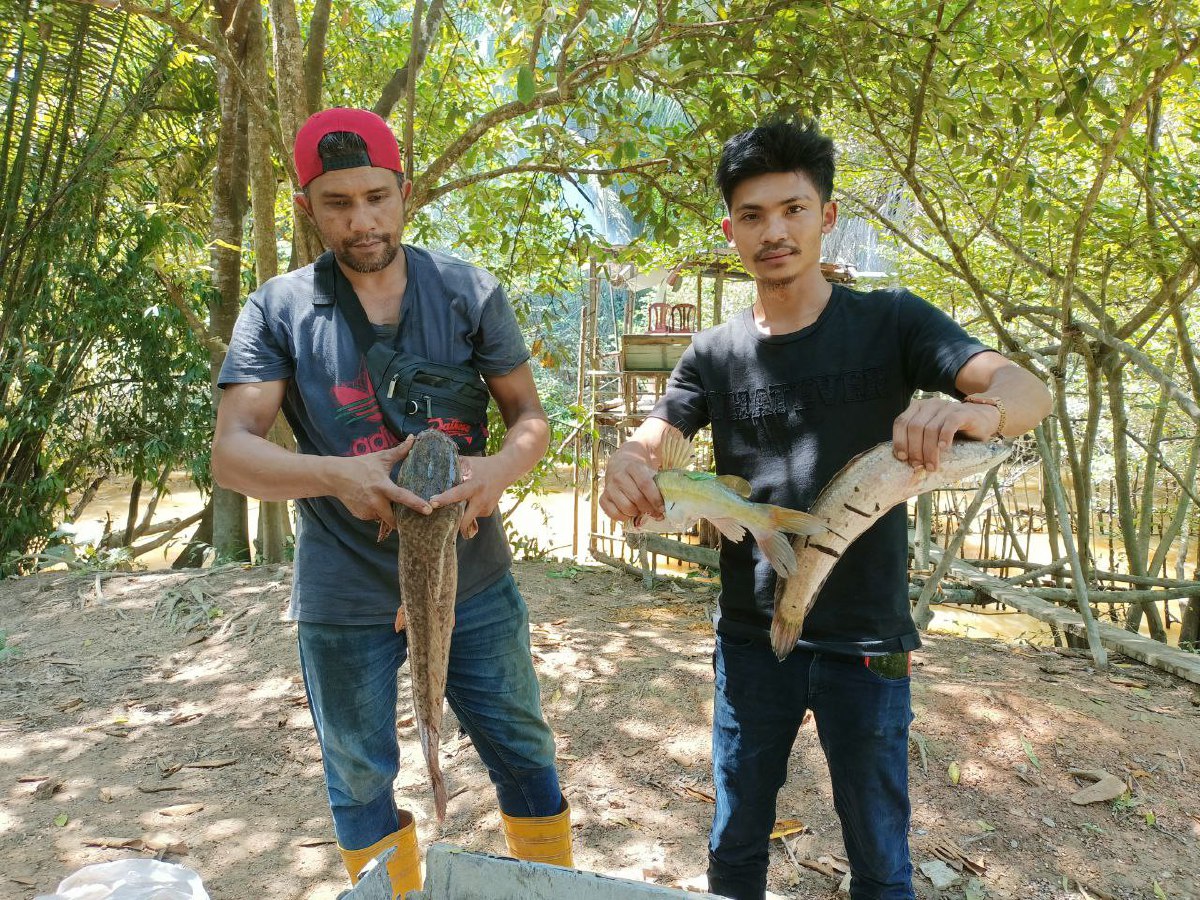 KHAIRUL Nizam (kiri) bersama rakannya menunjukkan ikan yang ditangkap menggunakan kaedah menapuk.