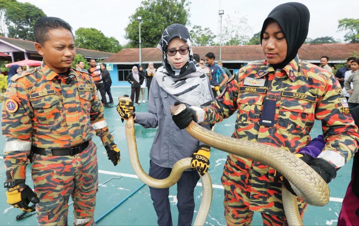 ZAITUL Akma (kanan) mengajar cara memengang ular tedung selar ketika mengendalikan kursus.