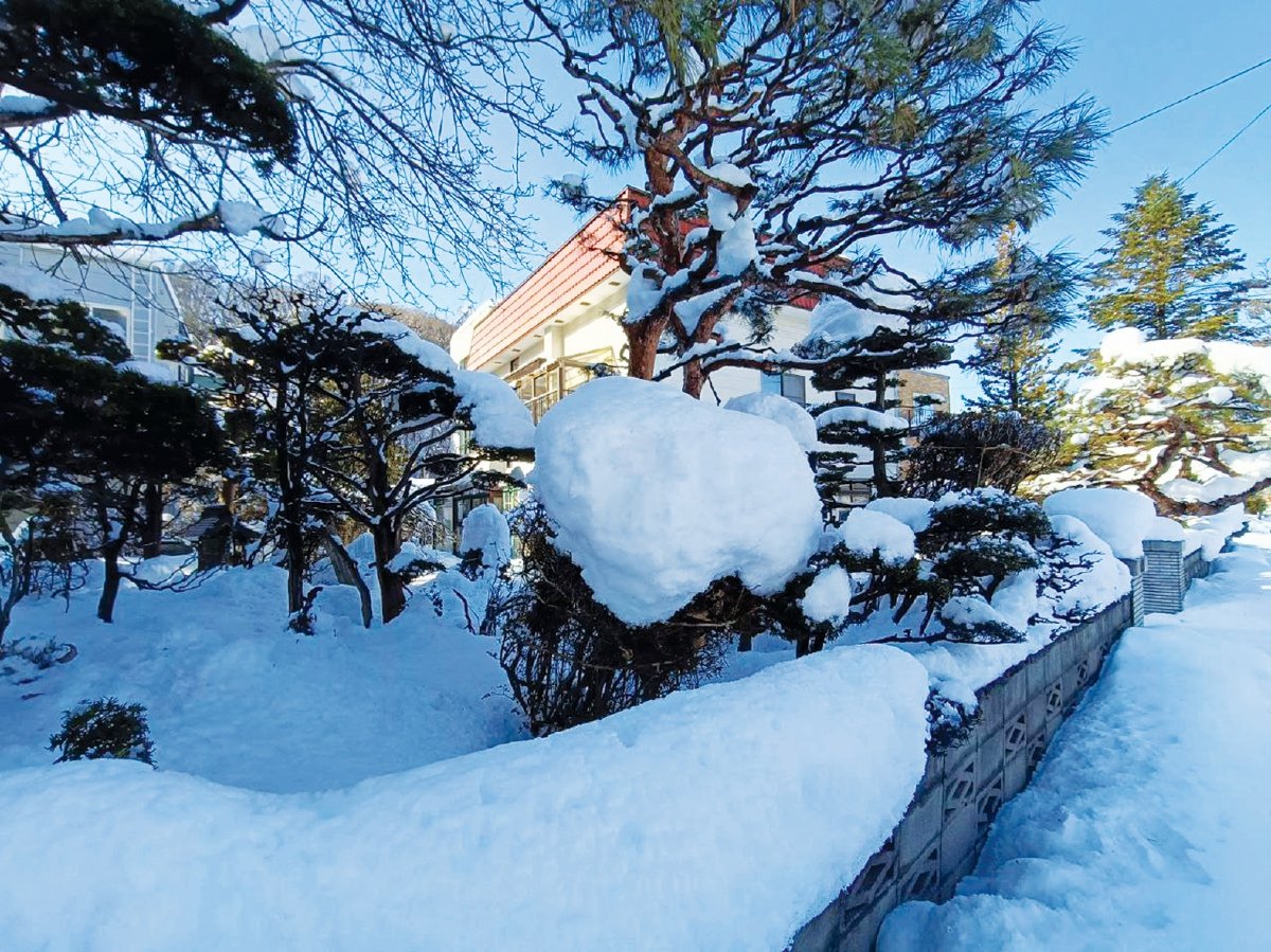 MENIKMATI kedinginan bandar Sapporo dengan suhu -3 darjah Celsius.