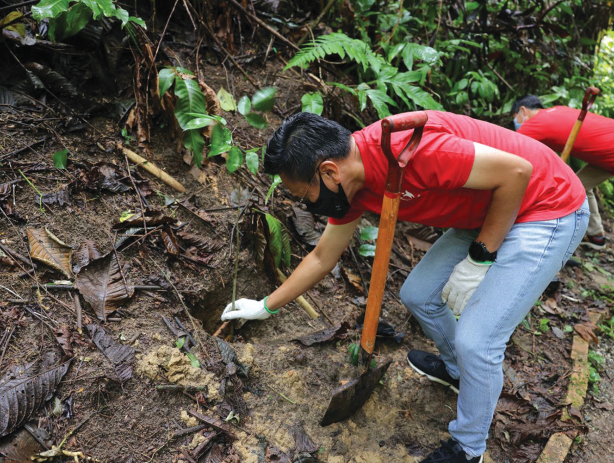 KOH menanam pokok di Pusat Konservasi Tapir di Sungai Dusun. 