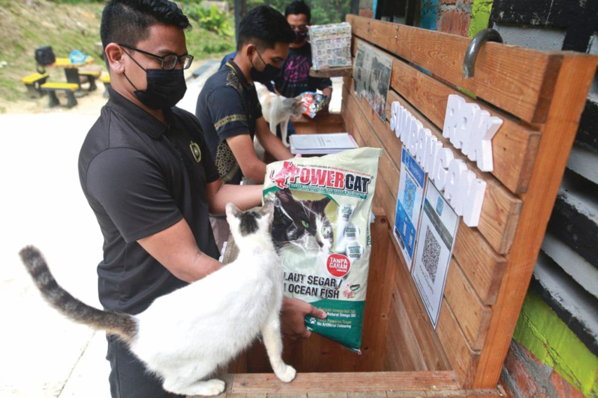 ANTARA makanan kucing yang disumbangkan oleh pengunjung. 
