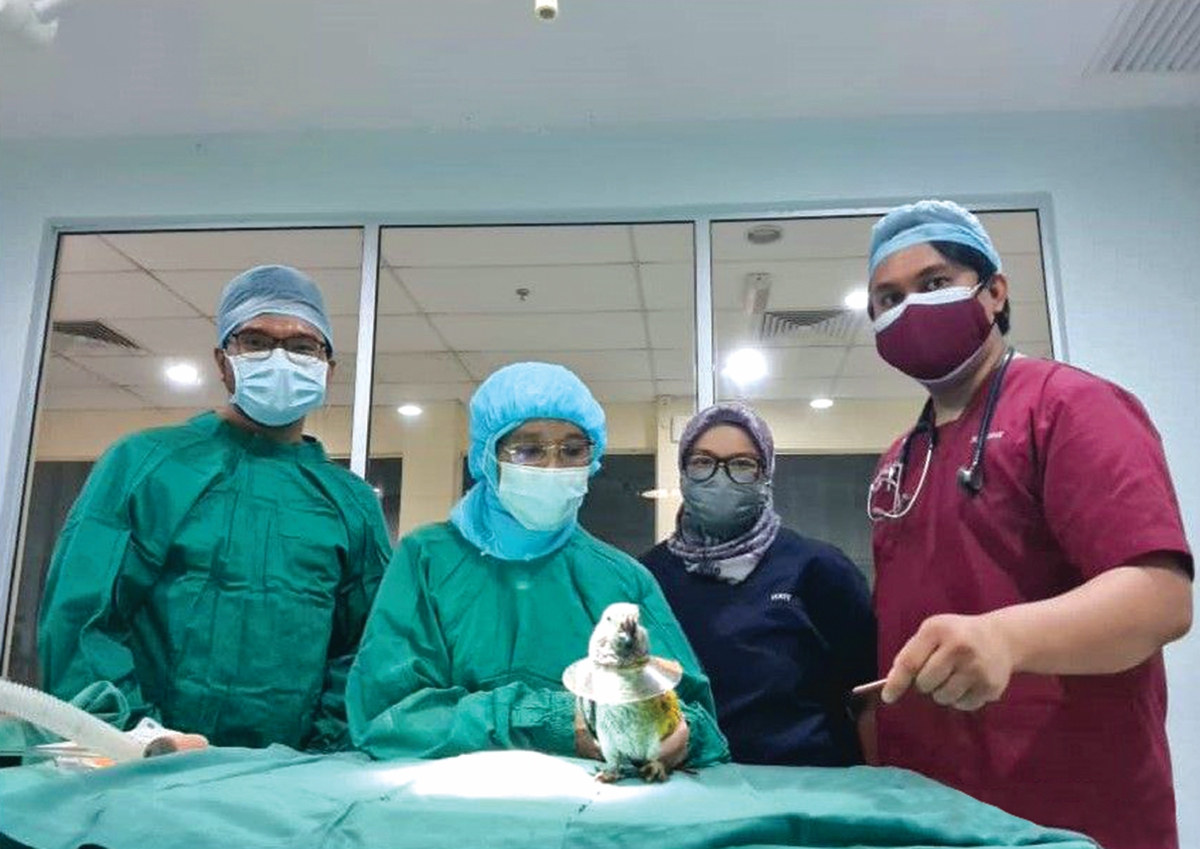 PASUKAN teknikal dan doktor veterinar dalam bilik bedah selepas selesai pembedahan.