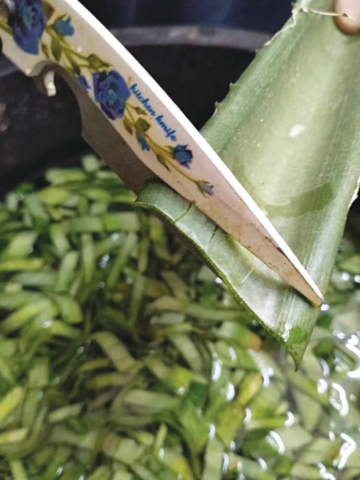 1.Bersihkan, buang duri pada hujung daun nanas sebelum gunting dalam saiz kecil dan rendam dengan air biasa. 
