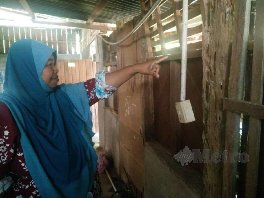 ROZIAH Ad, 49, menunjukkan bahagian tiang rumah yang reput dimakan anai-anai di rumahnya di Kampung Tanjung Belit. FOTO Noorazura Abdul Rahman