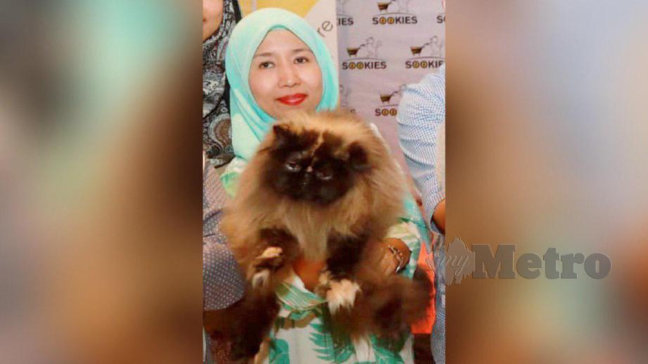 EMMY bersama kucing miliknya yang diberi nama Isabella dan benilai RM16,000. FOTO Mohd Rafi Mamat