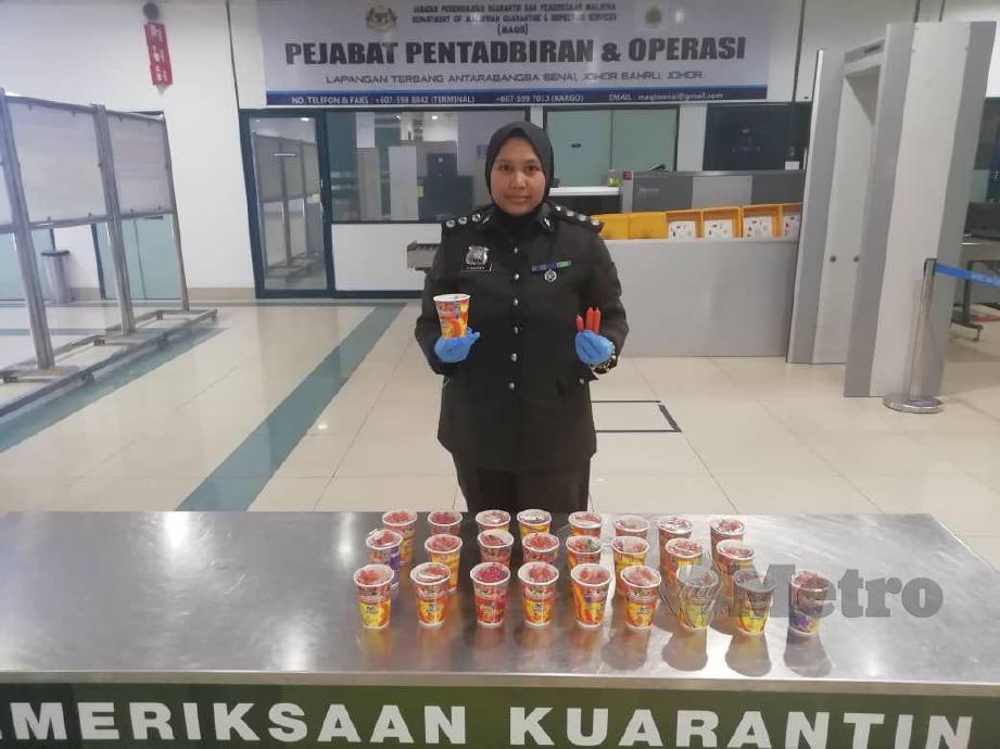 JABATAN Perkhidmatan Kuarantin dan Pemeriksaan Malaysia (MAQIS) Johor merampas sebanyak 26 bungkusan kecil sosej babi seberat 3.5 kilogram di Lapangan Terbang Antarabangsa Senai (LTAS), pada 11.40 pagi, Ahad lalu. FOTO Ihsan MAQIS