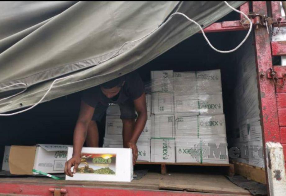 20 kotak Rempah ratus dari Guatemala dirampas Maqis di KSAB. FOTO Ihsan MAQIS Johor
