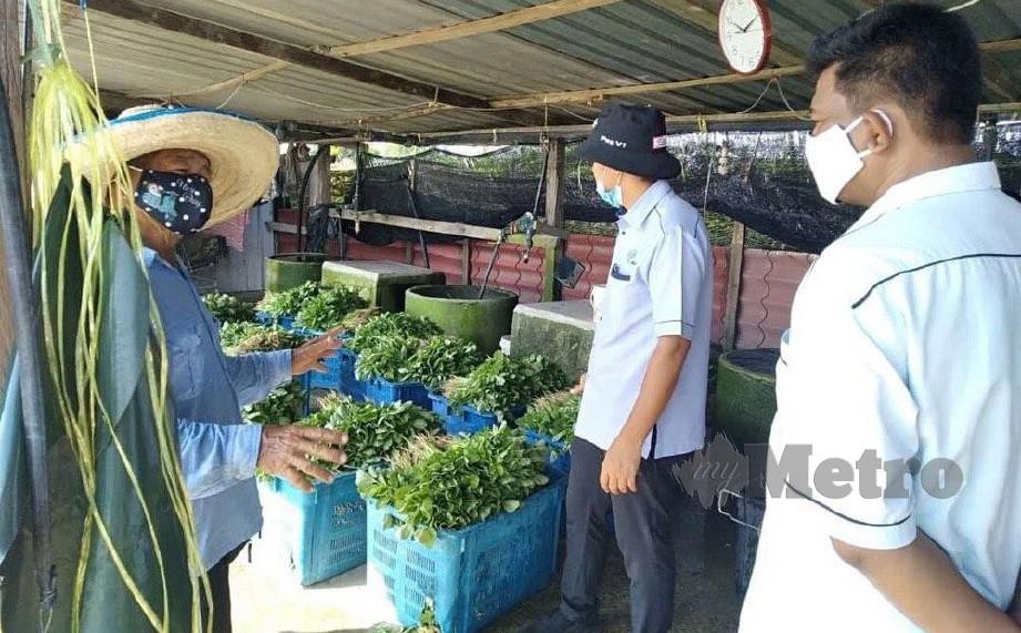 Muhaimin mengadakan tinjauan ke Taman Kekal Pengeluaran Makanan (TKPM) Ara Kuda dan Kelompok Sayur Paya Tok Akil. FOTO  Ihsan Facebook Jabatan Pertanian Negeri Pulau Pinang