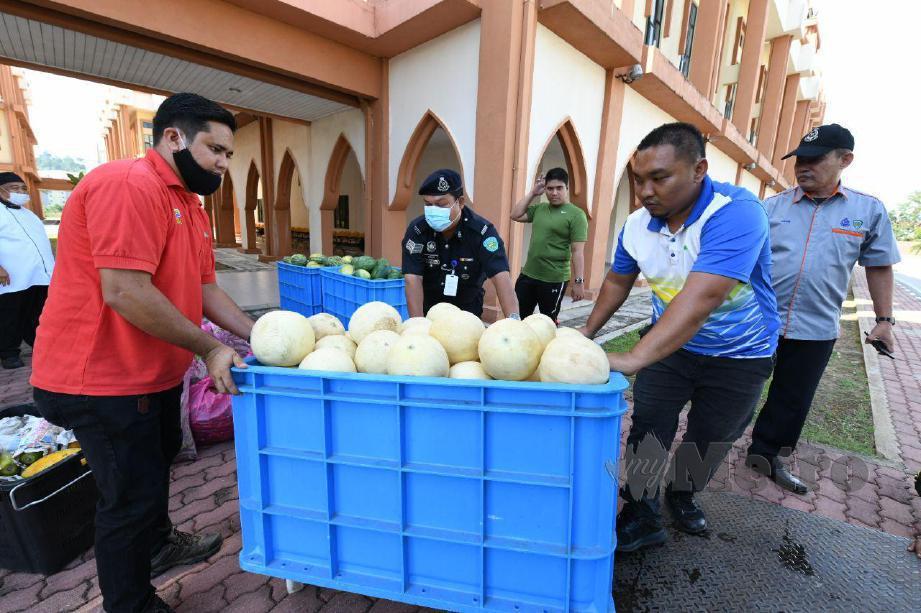 PROSES penghantaran 250 kilogram buah dan sayur sumbangan FAMA Pahang kepada Universiti Islam Antarabangsa Malaysia (UIAM) Kuantan untuk kegunaan 350 penuntut yang tinggal di asrama. FOTO Mohd Rafi Mamat
