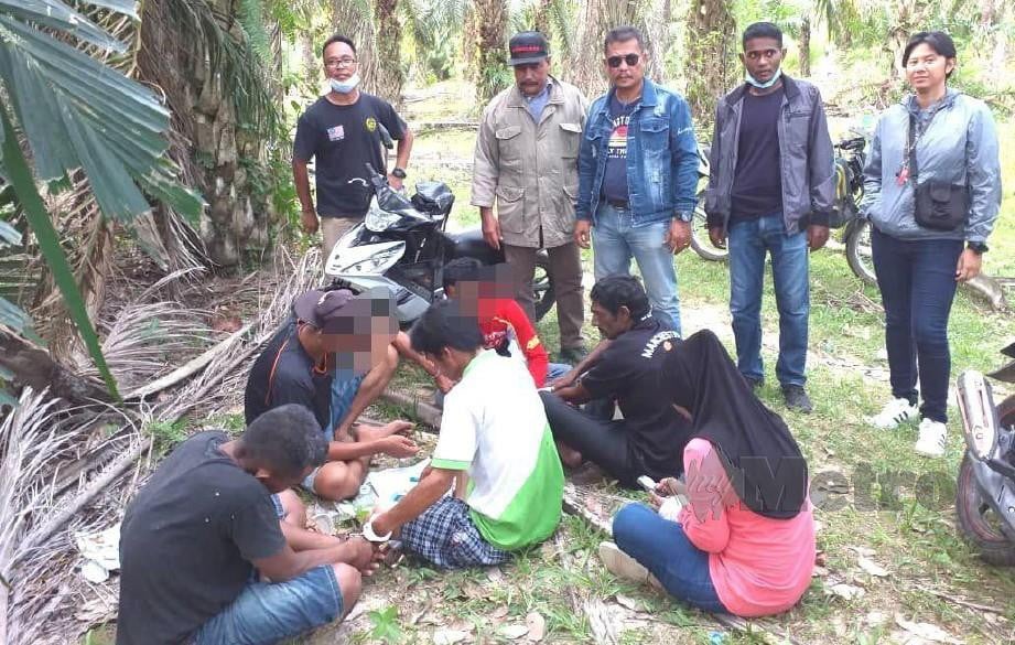 Tokan dan penagih ditahan polis dalam op sarang di ladang kelapa sawit di FELDA Lui Timur. FOTO ABNOR HAMIZAM