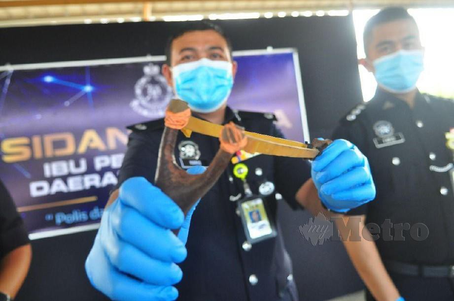  Mohd Haris menunjukkan lastik yang digunakan oleh suspek sebelum melakukan pecah rumah. FOTO JUWAN RIDUAN