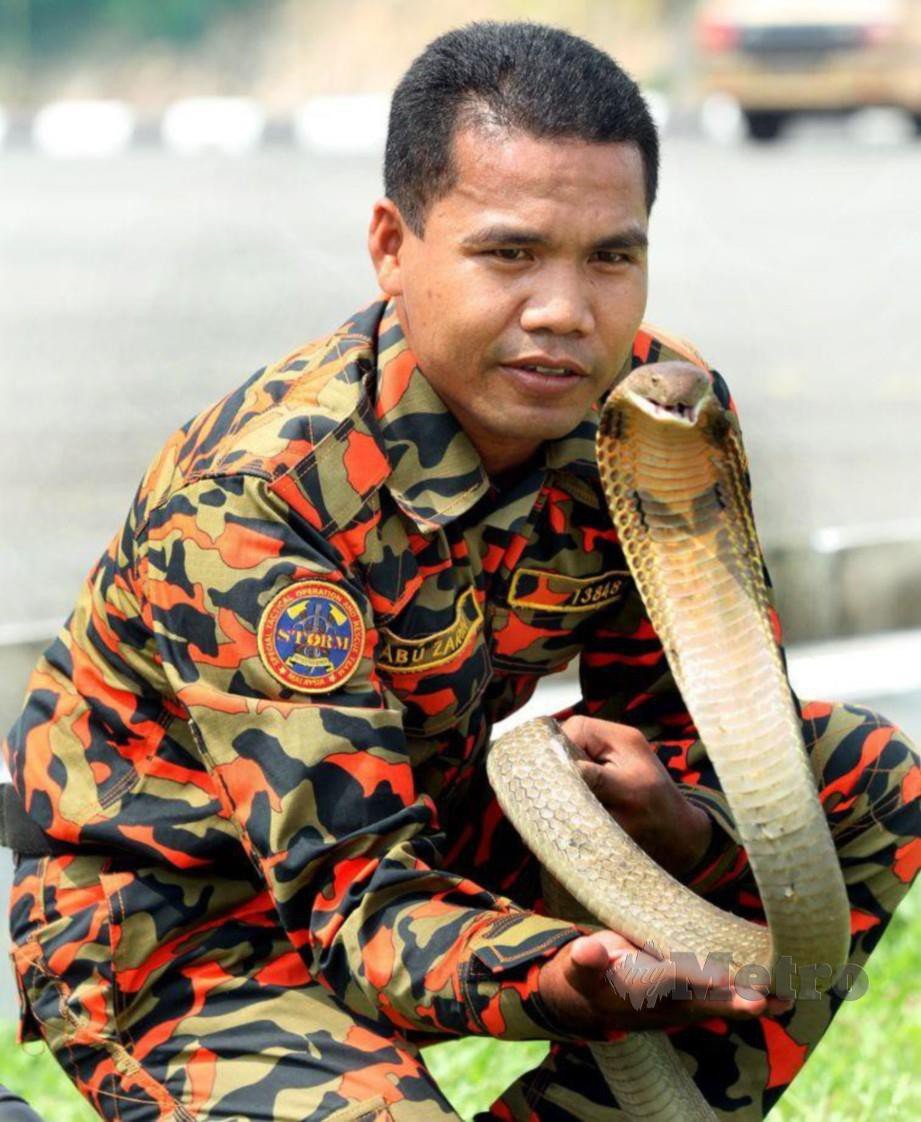 Allahyarham Abu Zarin Hussin terkorban tiga tahun lalu ketika operasi menangkap ular tedung di Bentong.STR/MOHD RAFI MAMAT