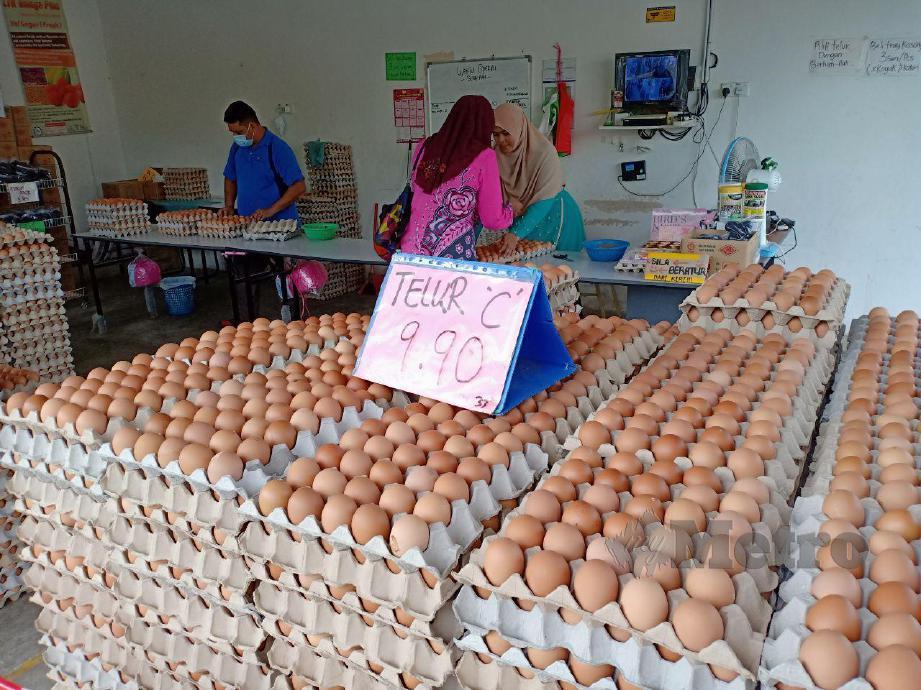 Peruncit didakwa naikkan harga telur | Harian Metro