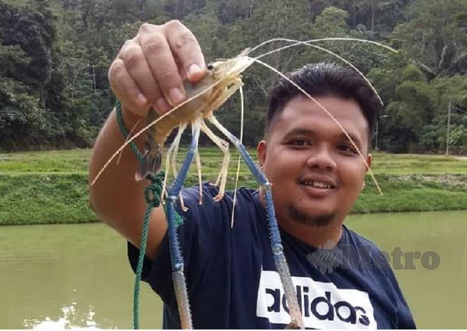Mohamad Qayyum Abdul Jalil di lokasi kolam ternakan udang galah di Kampung Gunung Pasir Seri Menanti Kuala Pilah.