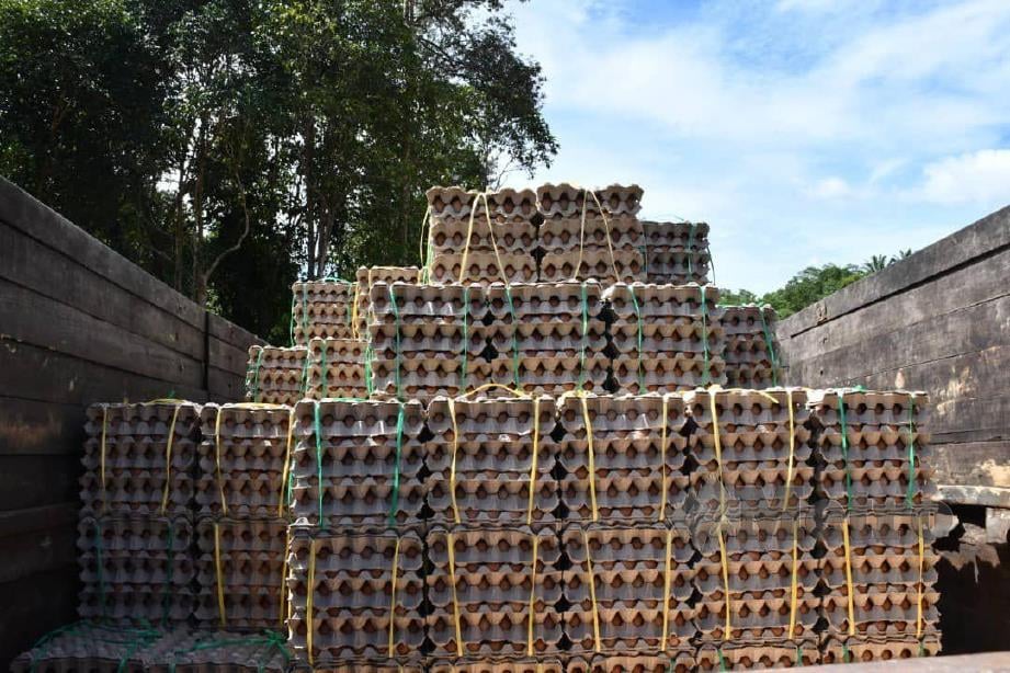Cubaan Pendatang Asing Tanpa Izin(PATI) warga negara Indonesia menyeludup barangan terkawal dan pembinaan jambatan kayu di lorong tikus  di sempadan Sarawak- Kalimantan di kawasan ladang Empaling, Kampung Stass, Bau, dipatahkn Markas Divisyen Pertama Infantri, pagi semalam. FOTO NORSYAZWANI NASRI